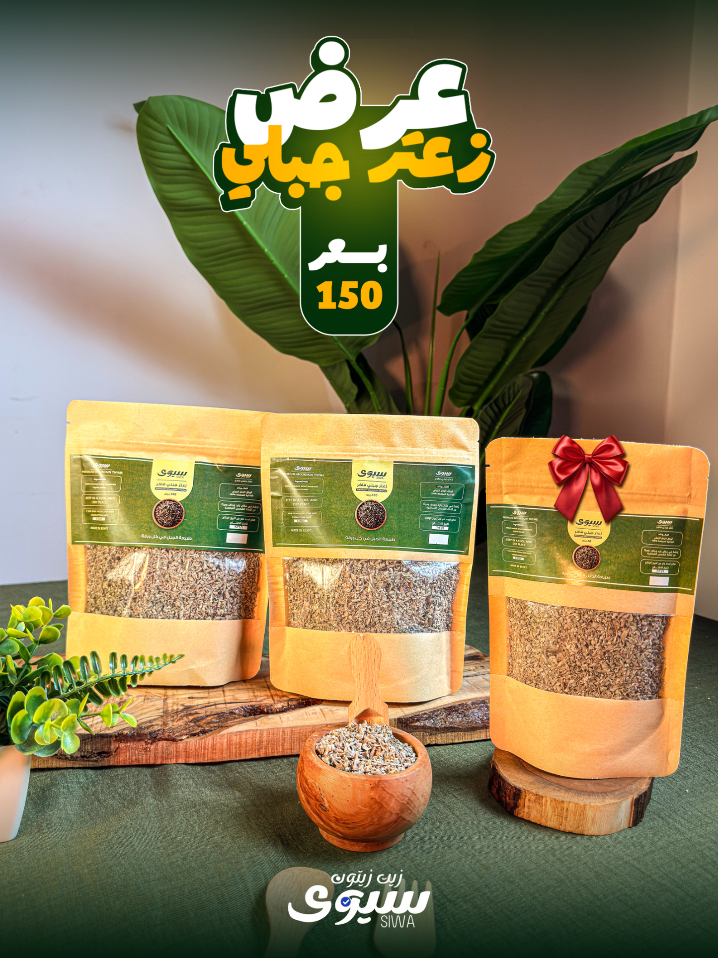 عرض زعتر الجبلي