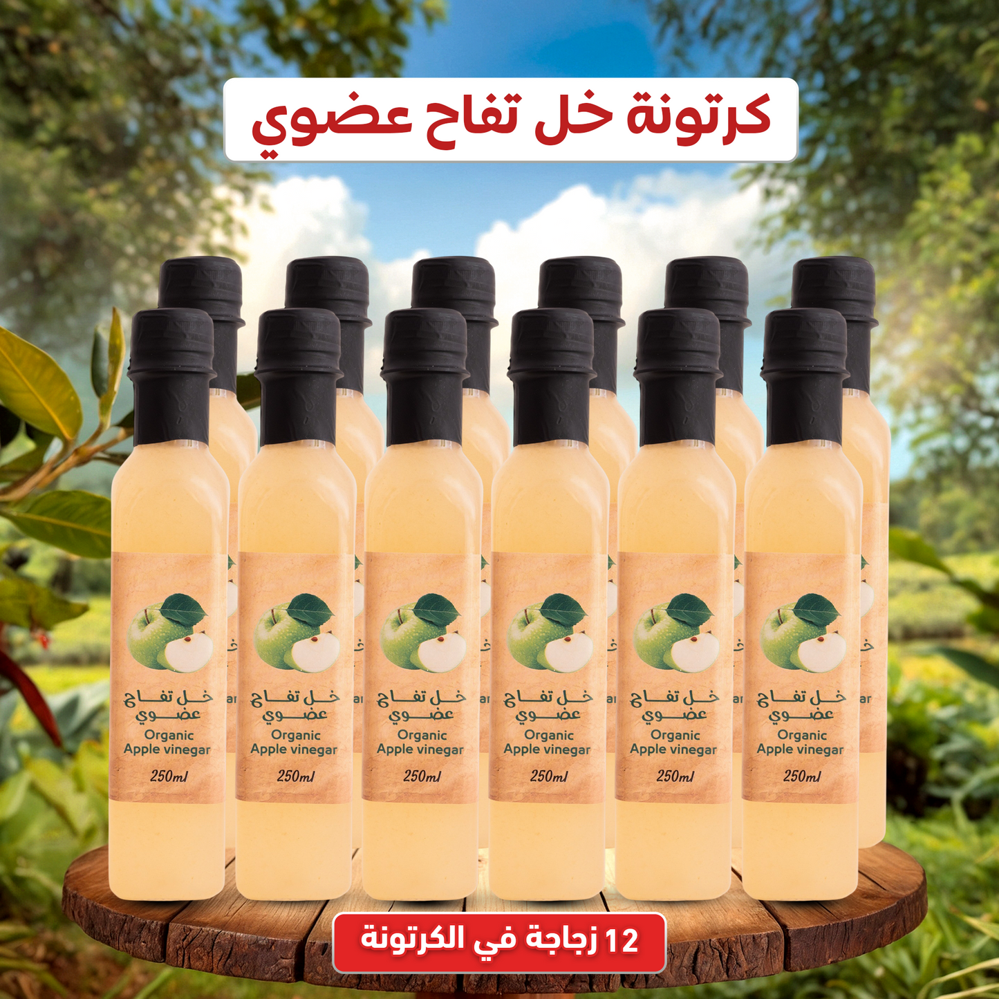 خل تفاح عضوي