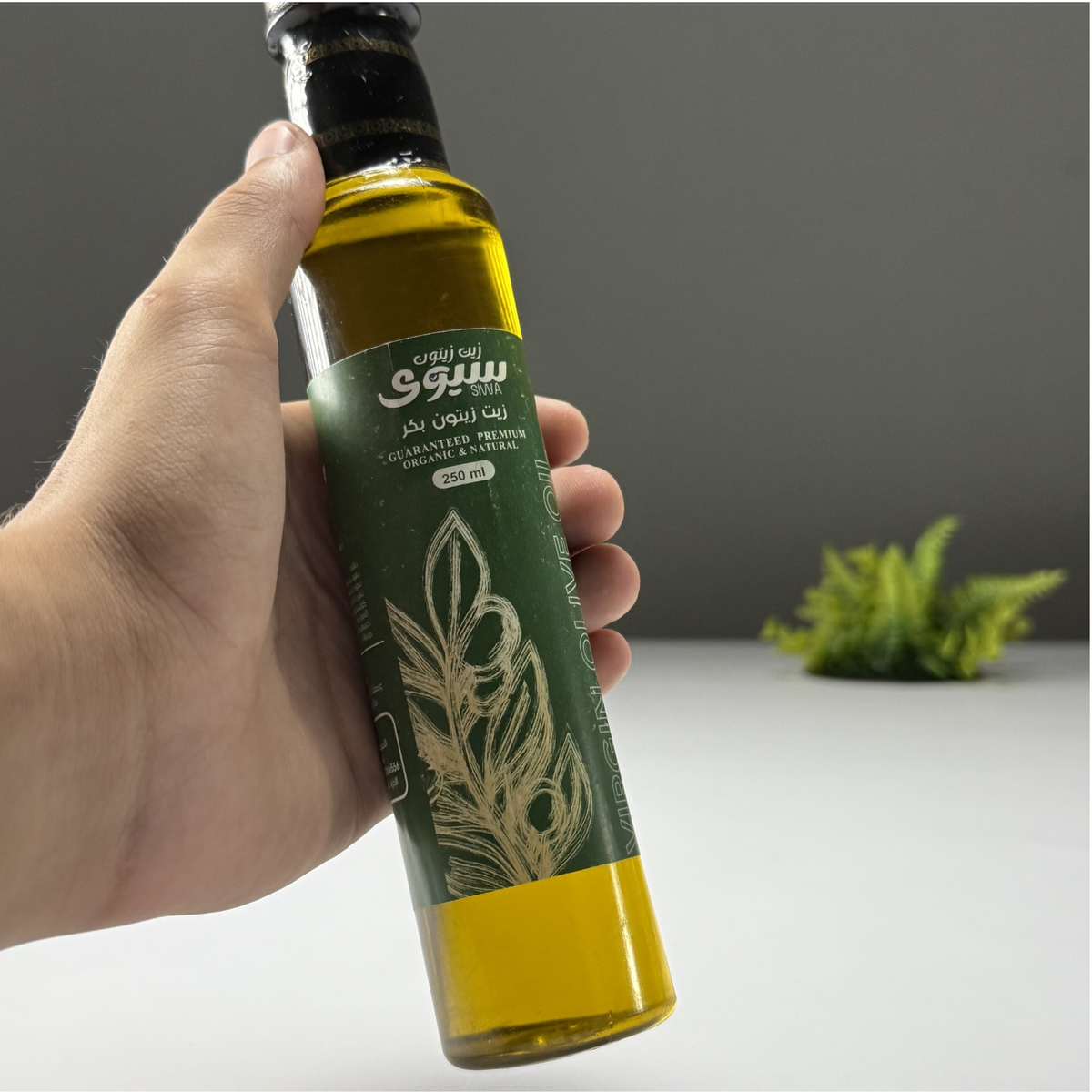 زيت زيتون بكر - فيرجن