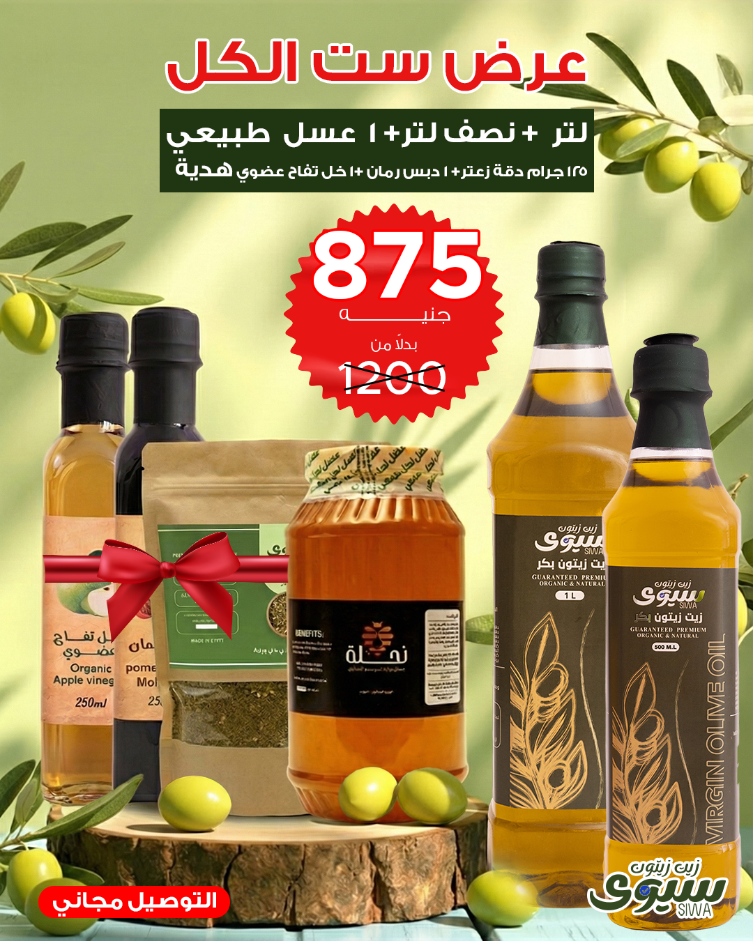 عرض ست الكل