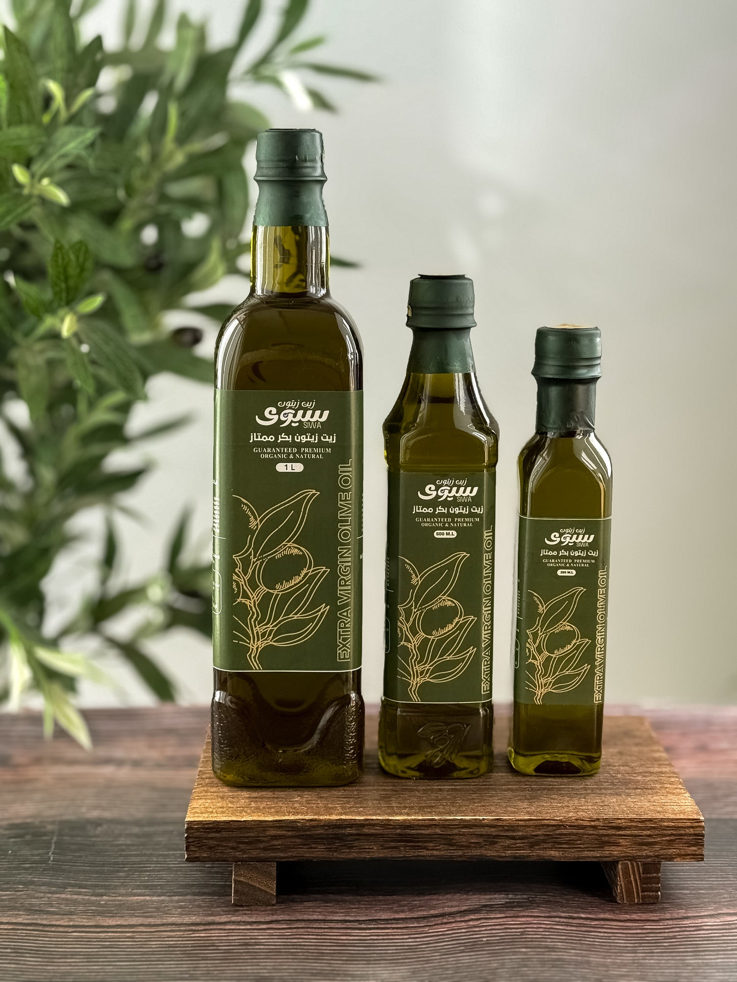 لتر زيت زيتون بكر ممتاز