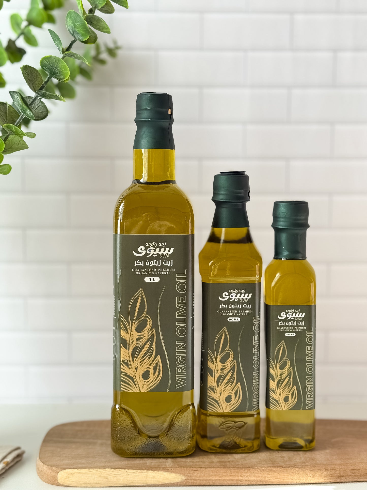 عرض ست الكل