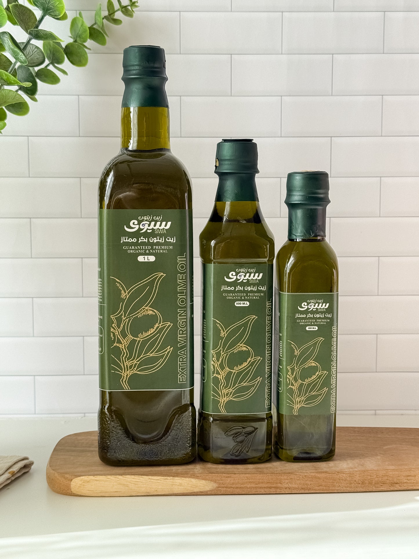 لتر زيت زيتون بكر ممتاز